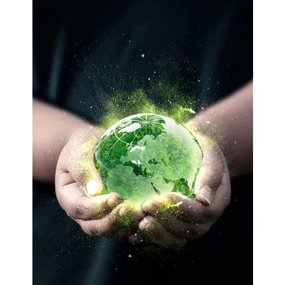 Día Mundial de la Salud: cómo ayudar al medio ambiente a cuidar la salud