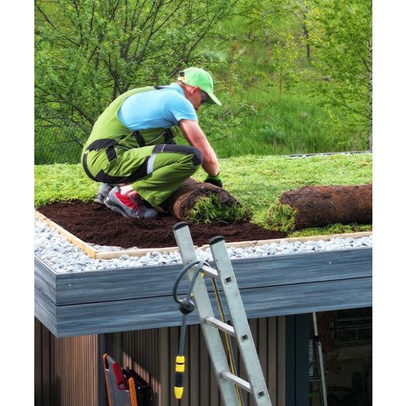 Antes de construir tu propia azotea o rooftop verde, sigue estos tips