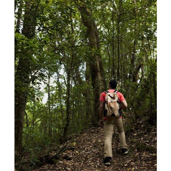 Día Mundial del Turismo 2025: avances y retos en sostenibilidad hotelera