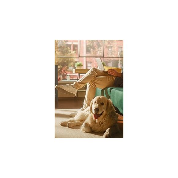 Un hogar para toda la familia: la tendencia pet-friendly en desarrollo inmobiliario